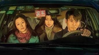 国产在线成片观看,观看热潮下的影视产业新风向