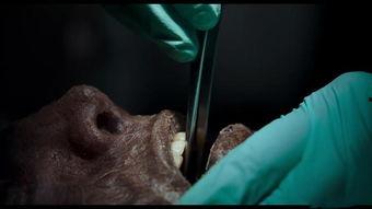 双瞳国产古装在线观看,穿越时空的古装传奇，在线观看，尽享视听盛宴