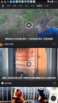 国产微拍下载在线视频,轻松获取热门在线视频的便捷之道