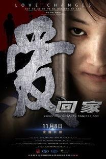 国产回家电影在线播放,回家之旅，情感共鸣的视听盛宴